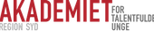 Akademiet For Talentfulde Unge - Syd